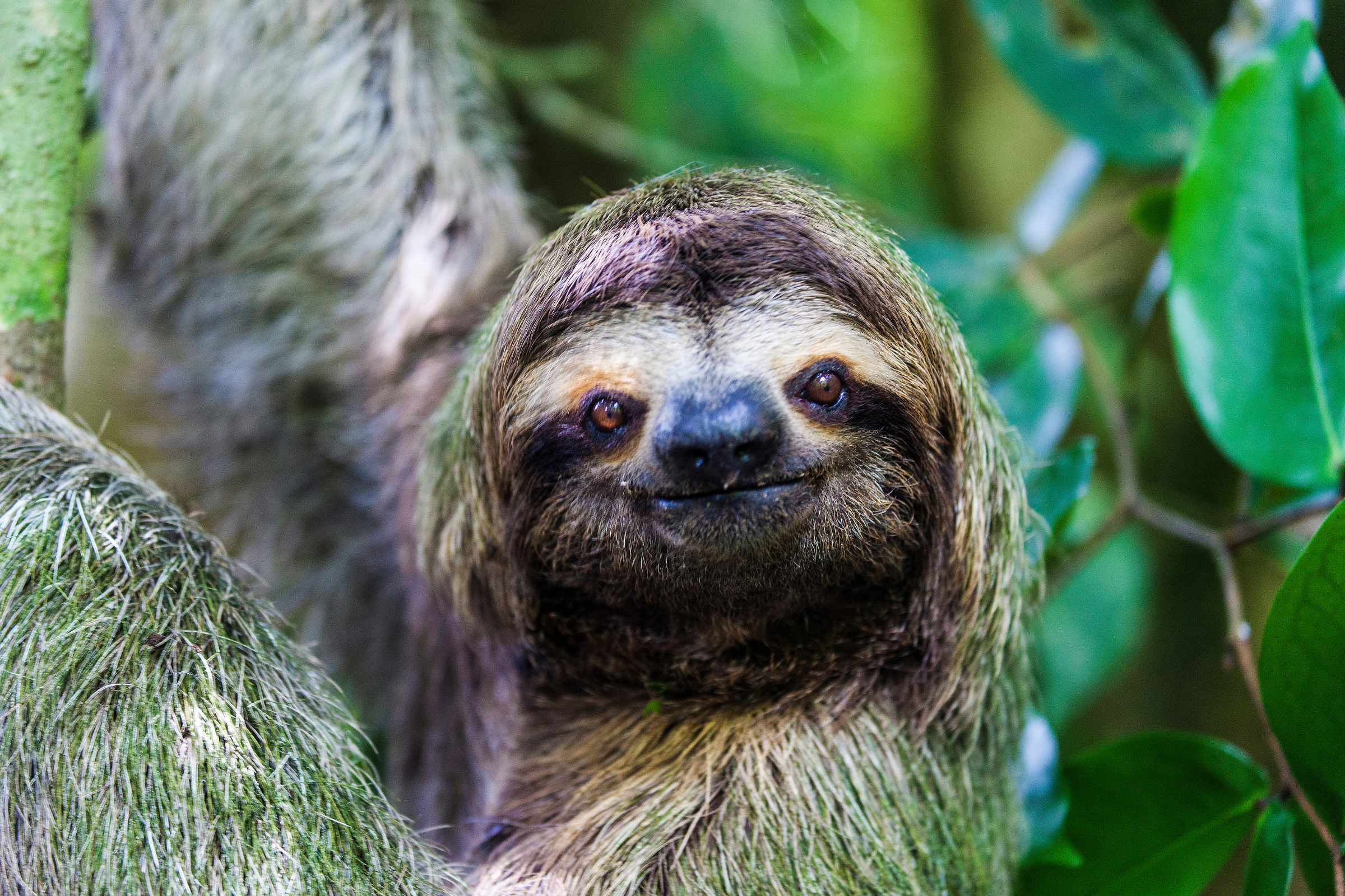 153 manuel antonio national park.webp